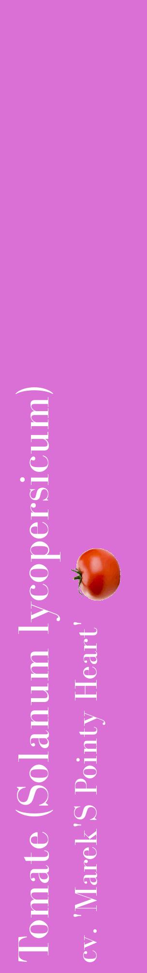 Étiquette de : Solanum lycopersicum cv. 'Marek'S Pointy Heart' - format c - style blanche52_basiquebod avec comestibilité simplifiée