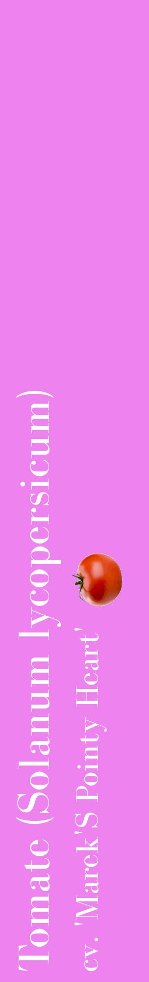 Étiquette de : Solanum lycopersicum cv. 'Marek'S Pointy Heart' - format c - style blanche53_basiquebod avec comestibilité simplifiée