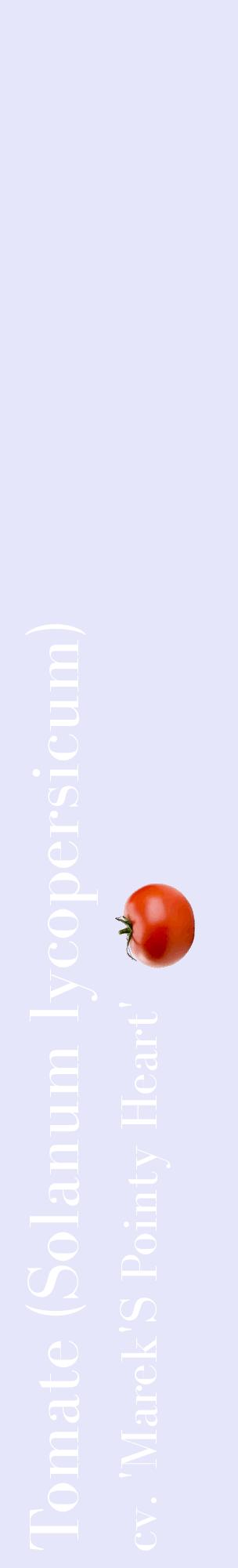 Étiquette de : Solanum lycopersicum cv. 'Marek'S Pointy Heart' - format c - style blanche55_basiquebod avec comestibilité simplifiée