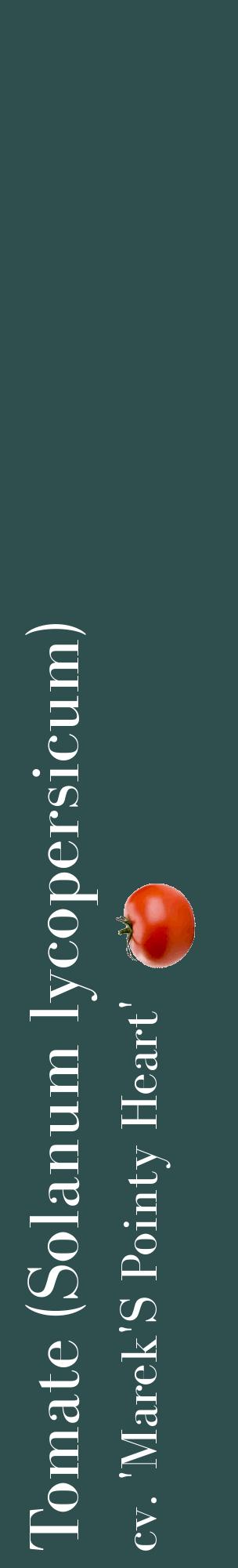 Étiquette de : Solanum lycopersicum cv. 'Marek'S Pointy Heart' - format c - style blanche58_basiquebod avec comestibilité simplifiée