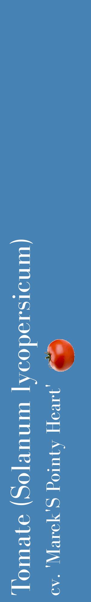 Étiquette de : Solanum lycopersicum cv. 'Marek'S Pointy Heart' - format c - style blanche5_basiquebod avec comestibilité simplifiée
