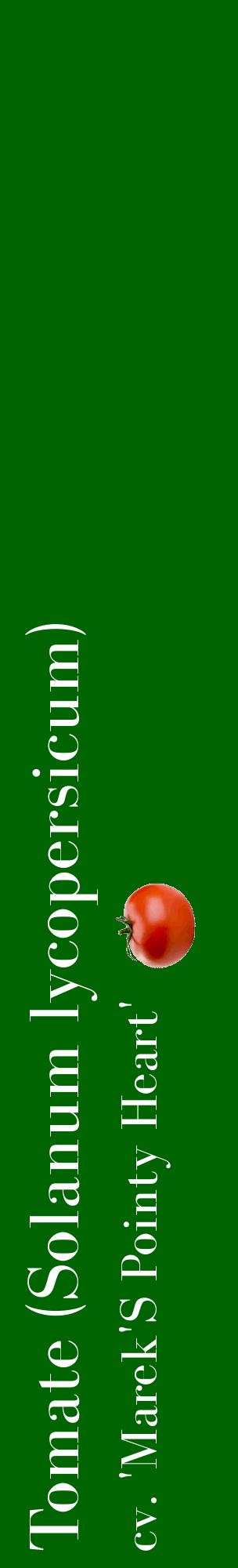 Étiquette de : Solanum lycopersicum cv. 'Marek'S Pointy Heart' - format c - style blanche8_basiquebod avec comestibilité simplifiée