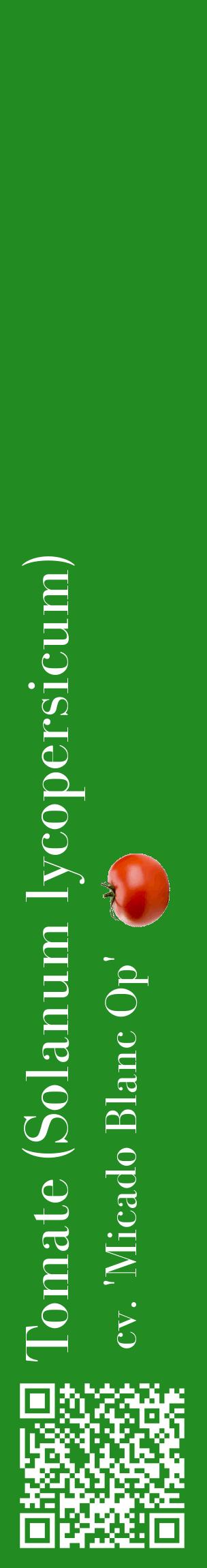 Étiquette de : Solanum lycopersicum cv. 'Micado Blanc Op' - format c - style blanche10_basiquebod avec qrcode et comestibilité simplifiée