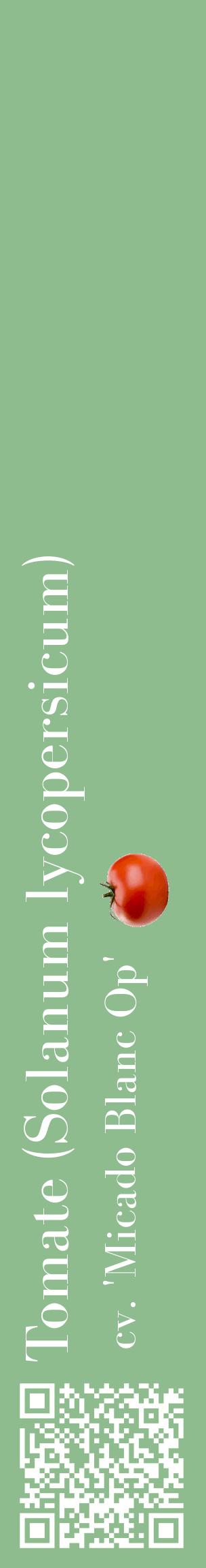 Étiquette de : Solanum lycopersicum cv. 'Micado Blanc Op' - format c - style blanche13_basiquebod avec qrcode et comestibilité simplifiée