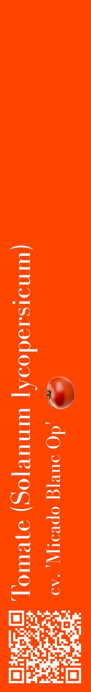 Étiquette de : Solanum lycopersicum cv. 'Micado Blanc Op' - format c - style blanche26_basiquebod avec qrcode et comestibilité simplifiée