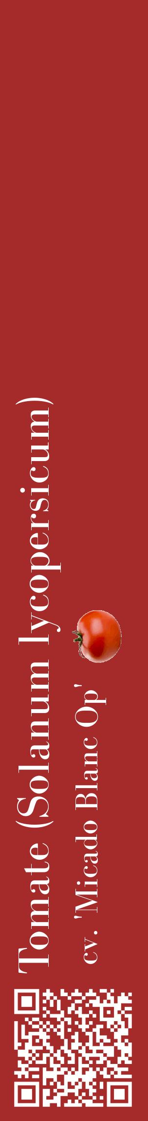 Étiquette de : Solanum lycopersicum cv. 'Micado Blanc Op' - format c - style blanche33_basiquebod avec qrcode et comestibilité simplifiée