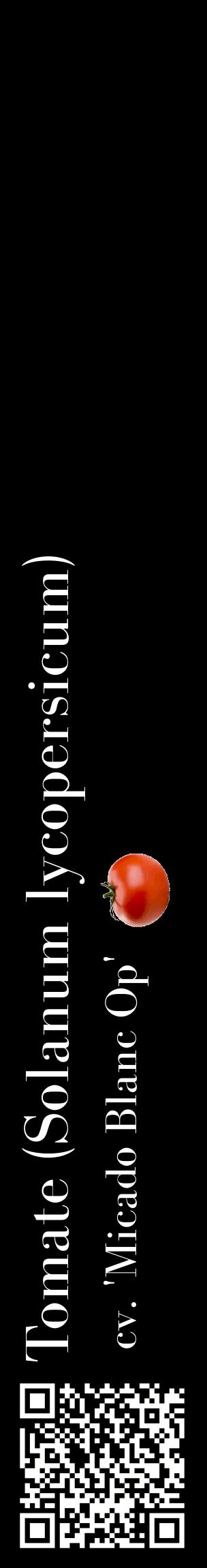 Étiquette de : Solanum lycopersicum cv. 'Micado Blanc Op' - format c - style blanche59_basiquebod avec qrcode et comestibilité simplifiée