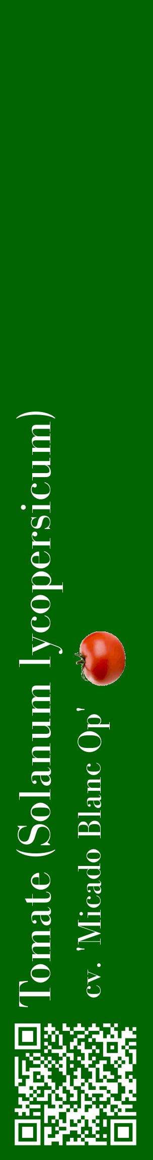 Étiquette de : Solanum lycopersicum cv. 'Micado Blanc Op' - format c - style blanche8_basiquebod avec qrcode et comestibilité simplifiée