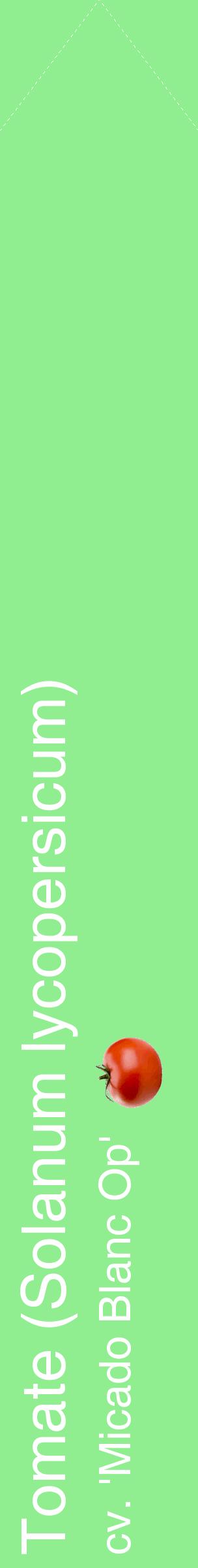 Étiquette de : Solanum lycopersicum cv. 'Micado Blanc Op' - format c - style blanche15_simplehel avec comestibilité simplifiée