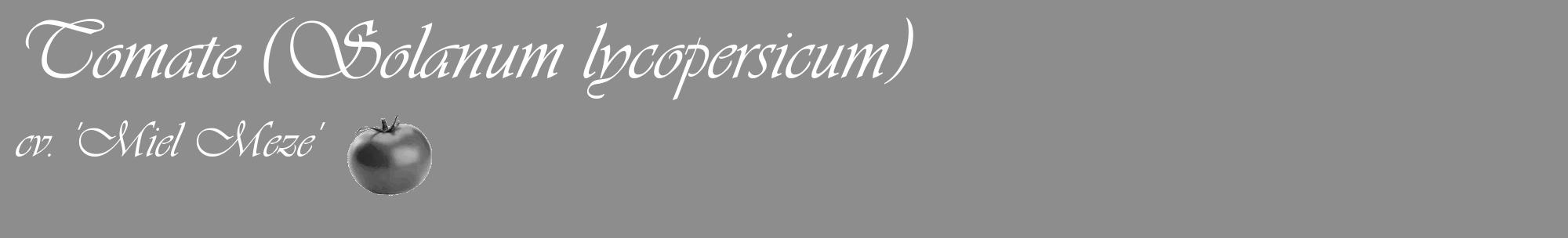 Étiquette de : Solanum lycopersicum cv. 'Miel Meze' - format c - style blanche2basique_basique_basiqueviv avec comestibilité simplifiée