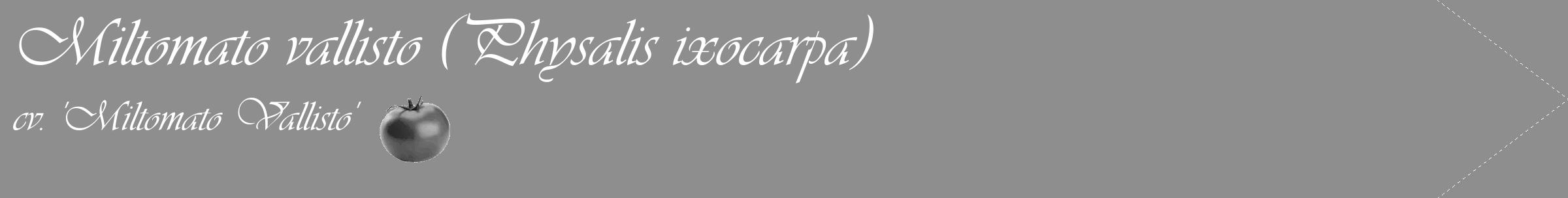 Étiquette de : Physalis ixocarpa cv. 'Miltomato Vallisto' - format c - style blanche25simple_simple_simpleviv avec comestibilité simplifiée