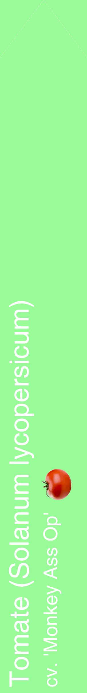 Étiquette de : Solanum lycopersicum cv. 'Monkey Ass Op' - format c - style blanche14_simplehel avec comestibilité simplifiée
