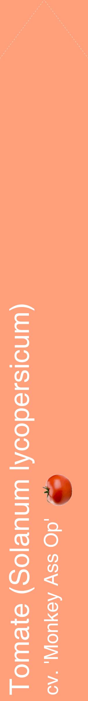 Étiquette de : Solanum lycopersicum cv. 'Monkey Ass Op' - format c - style blanche39_simplehel avec comestibilité simplifiée