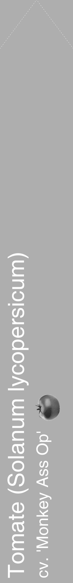 Étiquette de : Solanum lycopersicum cv. 'Monkey Ass Op' - format c - style blanche53simple_simple_simplehel avec comestibilité simplifiée - position verticale