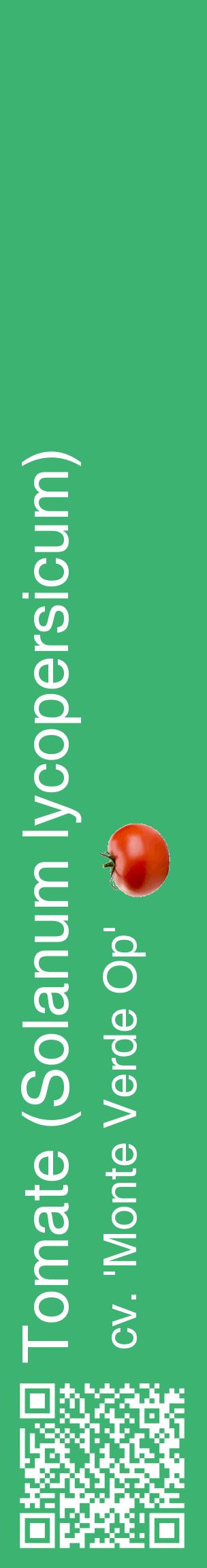 Étiquette de : Solanum lycopersicum cv. 'Monte Verde Op' - format c - style blanche12_basiquehel avec qrcode et comestibilité simplifiée