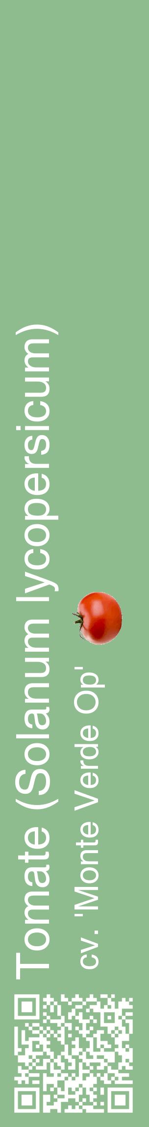 Étiquette de : Solanum lycopersicum cv. 'Monte Verde Op' - format c - style blanche13_basiquehel avec qrcode et comestibilité simplifiée