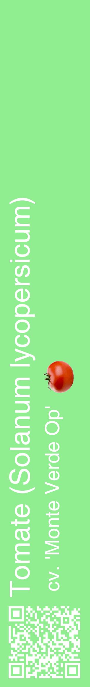 Étiquette de : Solanum lycopersicum cv. 'Monte Verde Op' - format c - style blanche15_basiquehel avec qrcode et comestibilité simplifiée