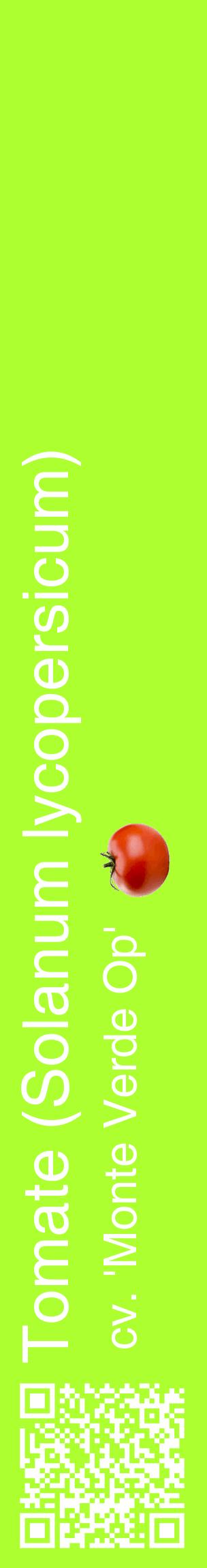 Étiquette de : Solanum lycopersicum cv. 'Monte Verde Op' - format c - style blanche17_basiquehel avec qrcode et comestibilité simplifiée