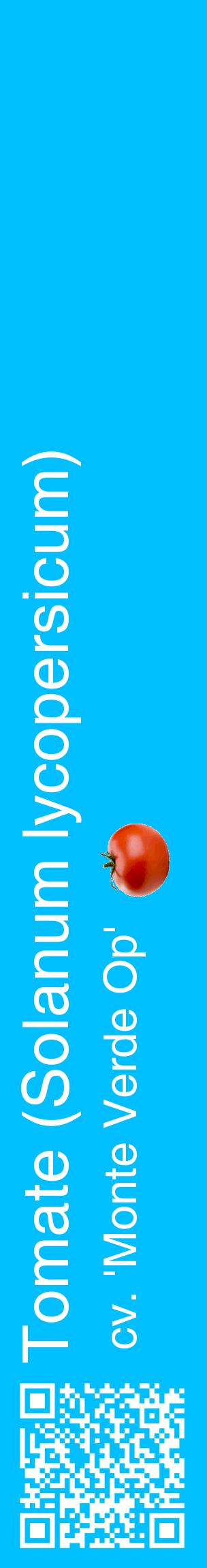 Étiquette de : Solanum lycopersicum cv. 'Monte Verde Op' - format c - style blanche2_basiquehel avec qrcode et comestibilité simplifiée