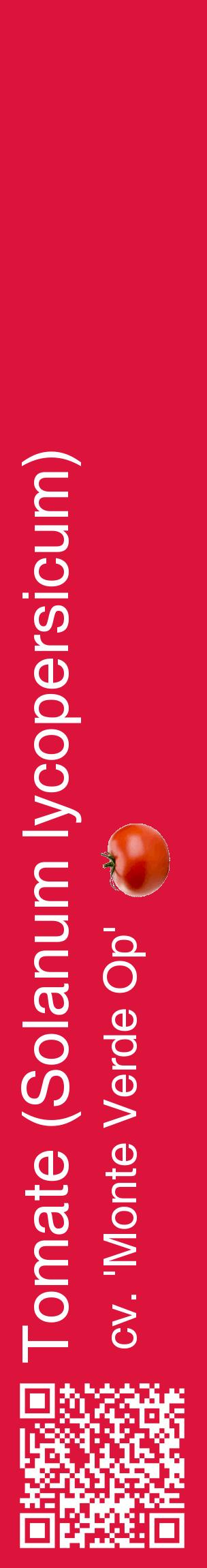 Étiquette de : Solanum lycopersicum cv. 'Monte Verde Op' - format c - style blanche36_basiquehel avec qrcode et comestibilité simplifiée