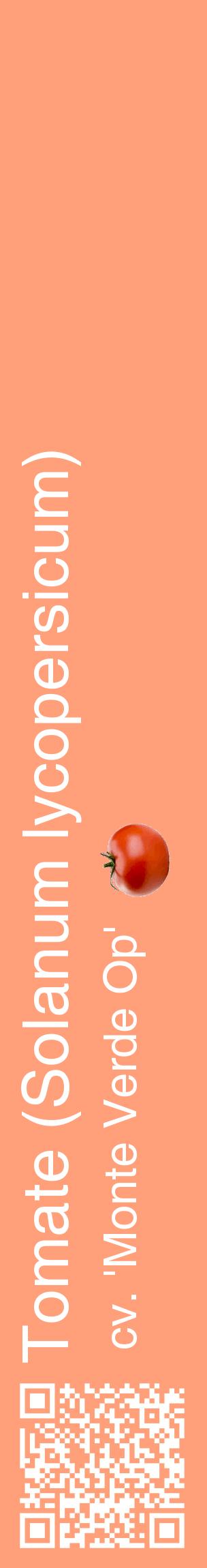 Étiquette de : Solanum lycopersicum cv. 'Monte Verde Op' - format c - style blanche39_basiquehel avec qrcode et comestibilité simplifiée