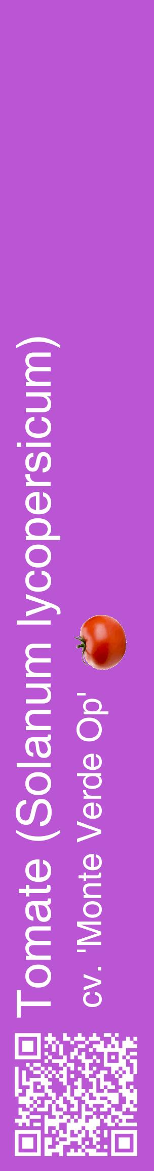 Étiquette de : Solanum lycopersicum cv. 'Monte Verde Op' - format c - style blanche50_basiquehel avec qrcode et comestibilité simplifiée