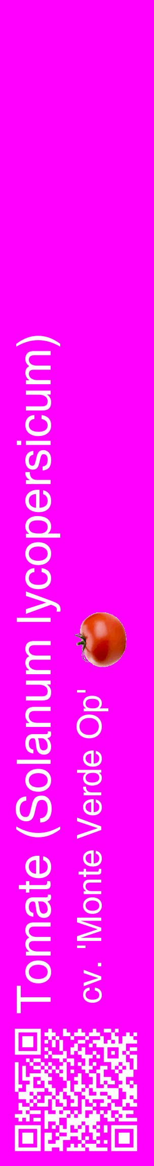 Étiquette de : Solanum lycopersicum cv. 'Monte Verde Op' - format c - style blanche51_basiquehel avec qrcode et comestibilité simplifiée
