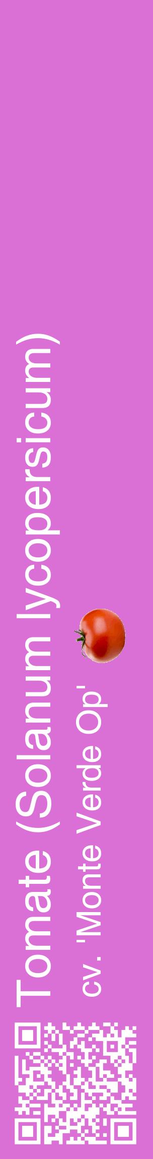Étiquette de : Solanum lycopersicum cv. 'Monte Verde Op' - format c - style blanche52_basiquehel avec qrcode et comestibilité simplifiée