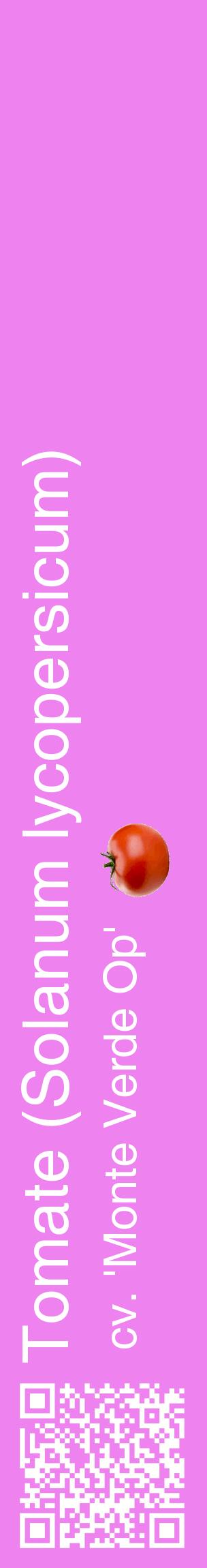 Étiquette de : Solanum lycopersicum cv. 'Monte Verde Op' - format c - style blanche53_basiquehel avec qrcode et comestibilité simplifiée