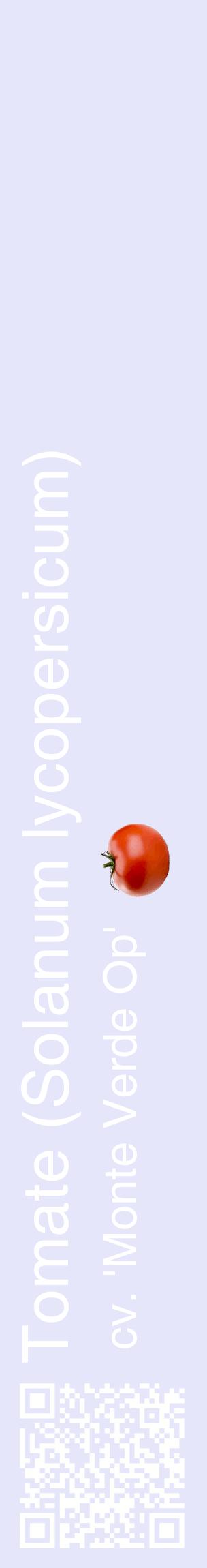 Étiquette de : Solanum lycopersicum cv. 'Monte Verde Op' - format c - style blanche55_basiquehel avec qrcode et comestibilité simplifiée