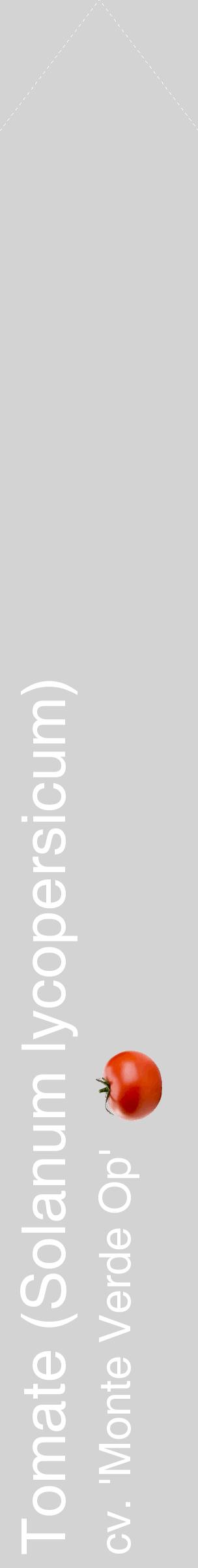 Étiquette de : Solanum lycopersicum cv. 'Monte Verde Op' - format c - style blanche56_simplehel avec comestibilité simplifiée