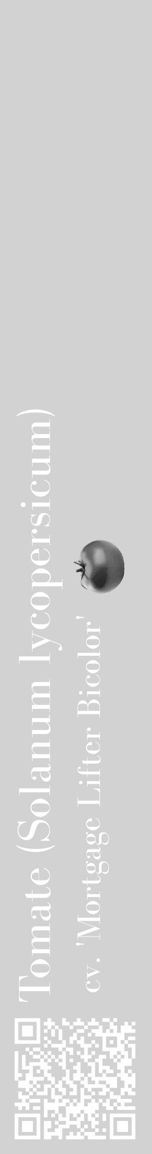 Étiquette de : Solanum lycopersicum cv. 'Mortgage Lifter Bicolor' - format c - style blanche14_basique_basiquebod avec qrcode et comestibilité simplifiée - position verticale