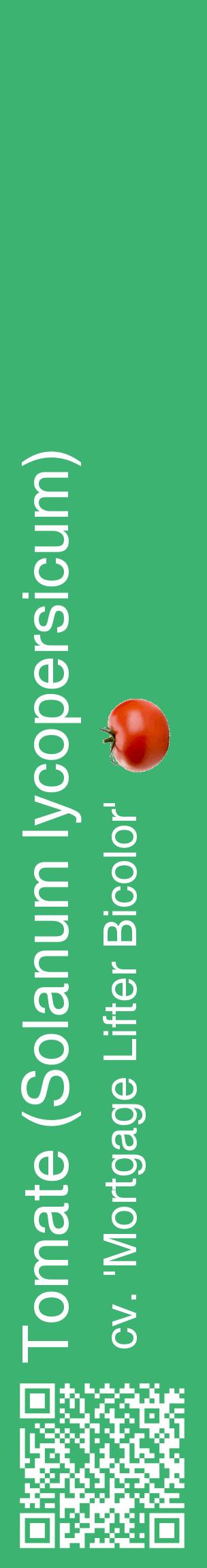 Étiquette de : Solanum lycopersicum cv. 'Mortgage Lifter Bicolor' - format c - style blanche12_basiquehel avec qrcode et comestibilité simplifiée