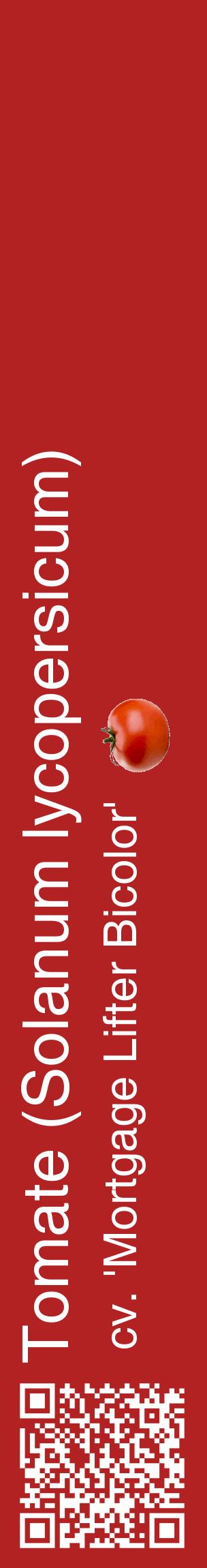 Étiquette de : Solanum lycopersicum cv. 'Mortgage Lifter Bicolor' - format c - style blanche28_basiquehel avec qrcode et comestibilité simplifiée