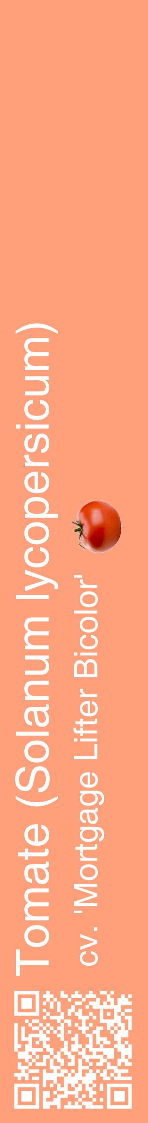 Étiquette de : Solanum lycopersicum cv. 'Mortgage Lifter Bicolor' - format c - style blanche39_basiquehel avec qrcode et comestibilité simplifiée