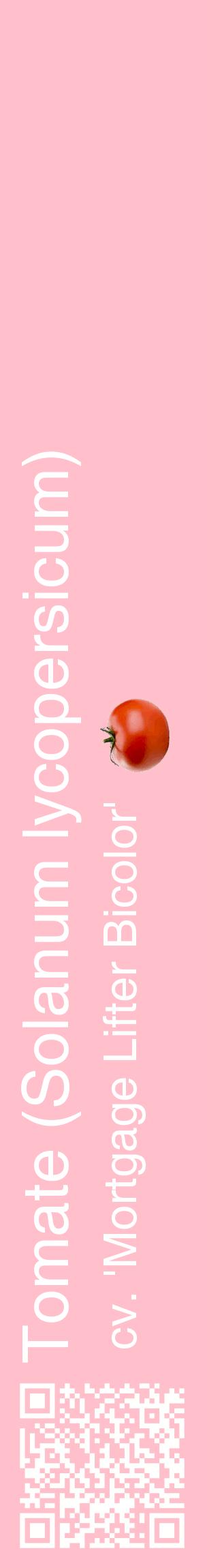 Étiquette de : Solanum lycopersicum cv. 'Mortgage Lifter Bicolor' - format c - style blanche40_basiquehel avec qrcode et comestibilité simplifiée