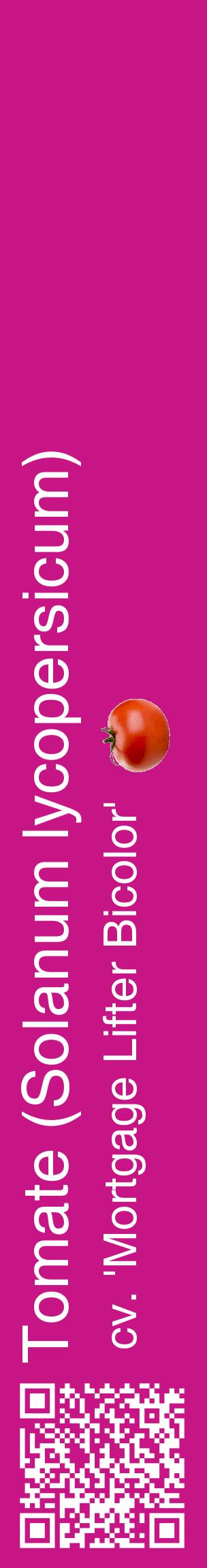 Étiquette de : Solanum lycopersicum cv. 'Mortgage Lifter Bicolor' - format c - style blanche45_basiquehel avec qrcode et comestibilité simplifiée