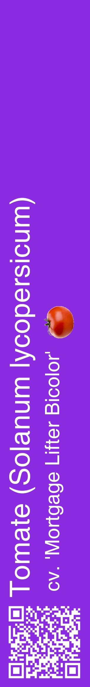 Étiquette de : Solanum lycopersicum cv. 'Mortgage Lifter Bicolor' - format c - style blanche49_basiquehel avec qrcode et comestibilité simplifiée