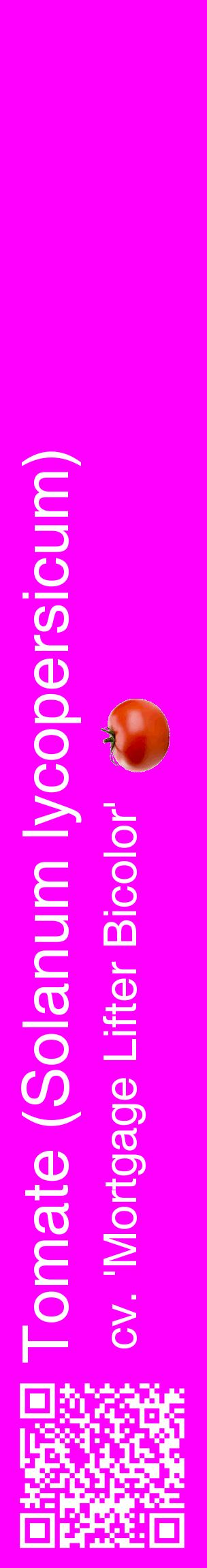Étiquette de : Solanum lycopersicum cv. 'Mortgage Lifter Bicolor' - format c - style blanche51_basiquehel avec qrcode et comestibilité simplifiée
