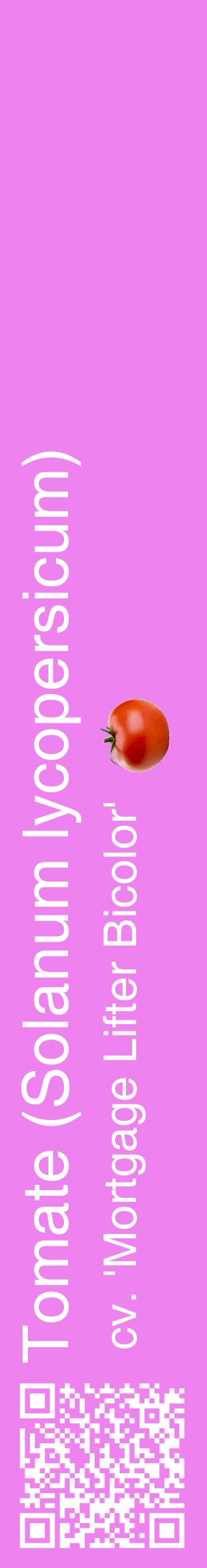 Étiquette de : Solanum lycopersicum cv. 'Mortgage Lifter Bicolor' - format c - style blanche53_basiquehel avec qrcode et comestibilité simplifiée