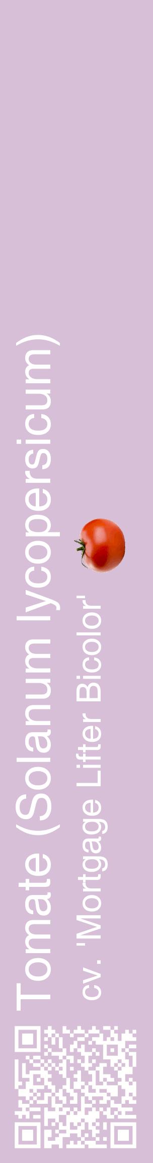 Étiquette de : Solanum lycopersicum cv. 'Mortgage Lifter Bicolor' - format c - style blanche54_basiquehel avec qrcode et comestibilité simplifiée