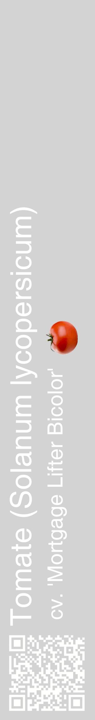 Étiquette de : Solanum lycopersicum cv. 'Mortgage Lifter Bicolor' - format c - style blanche56_basiquehel avec qrcode et comestibilité simplifiée