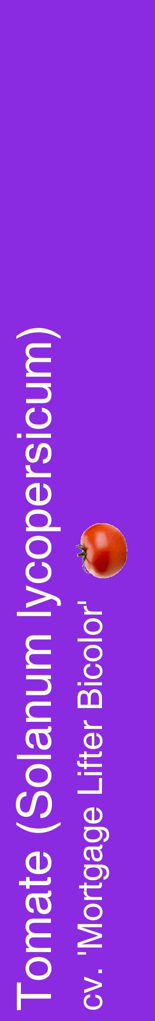 Étiquette de : Solanum lycopersicum cv. 'Mortgage Lifter Bicolor' - format c - style blanche49_basiquehel avec comestibilité simplifiée