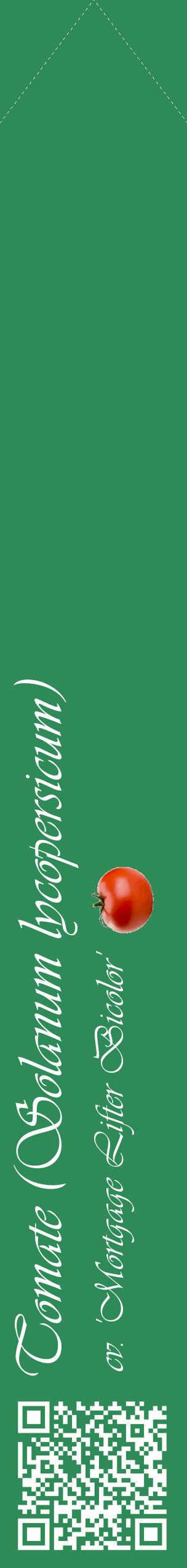 Étiquette de : Solanum lycopersicum cv. 'Mortgage Lifter Bicolor' - format c - style blanche11_simpleviv avec qrcode et comestibilité simplifiée