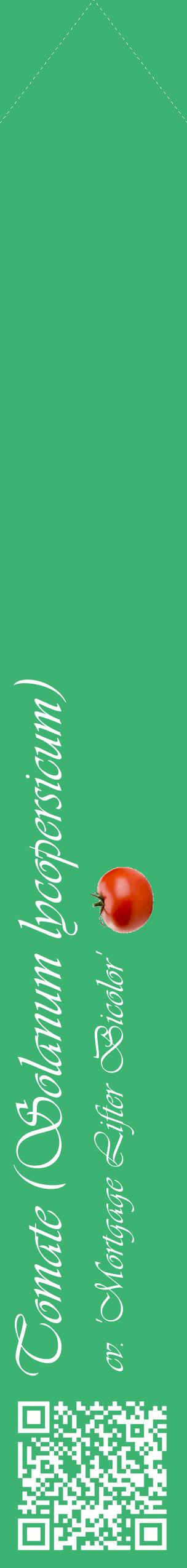 Étiquette de : Solanum lycopersicum cv. 'Mortgage Lifter Bicolor' - format c - style blanche12_simpleviv avec qrcode et comestibilité simplifiée