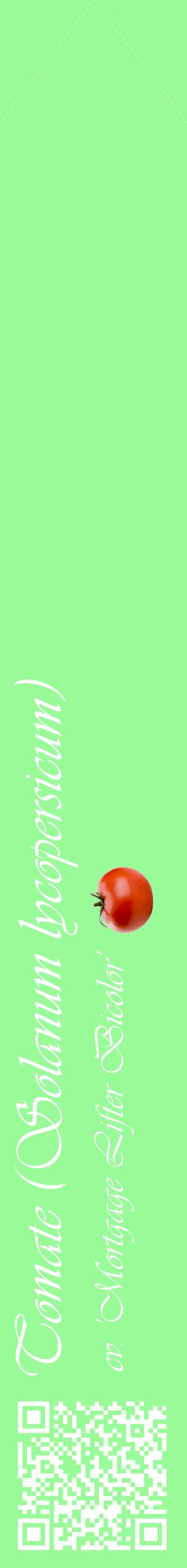 Étiquette de : Solanum lycopersicum cv. 'Mortgage Lifter Bicolor' - format c - style blanche14_simpleviv avec qrcode et comestibilité simplifiée