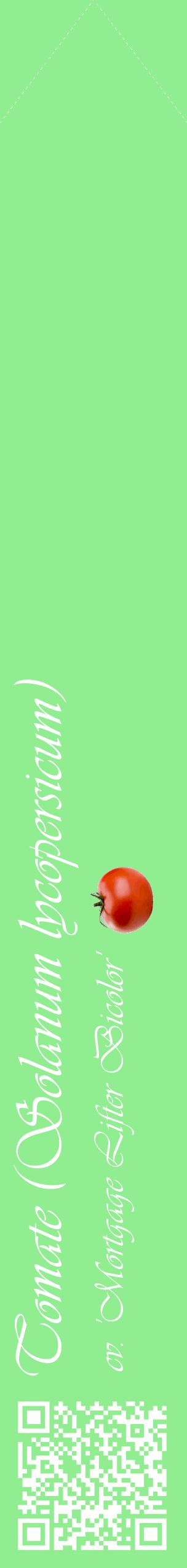 Étiquette de : Solanum lycopersicum cv. 'Mortgage Lifter Bicolor' - format c - style blanche15_simpleviv avec qrcode et comestibilité simplifiée