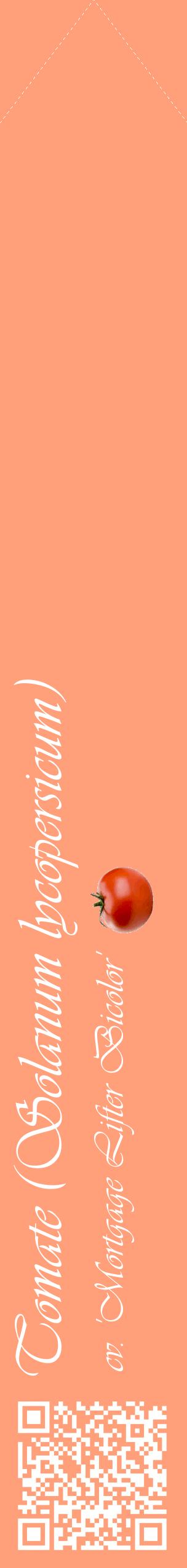 Étiquette de : Solanum lycopersicum cv. 'Mortgage Lifter Bicolor' - format c - style blanche39_simpleviv avec qrcode et comestibilité simplifiée