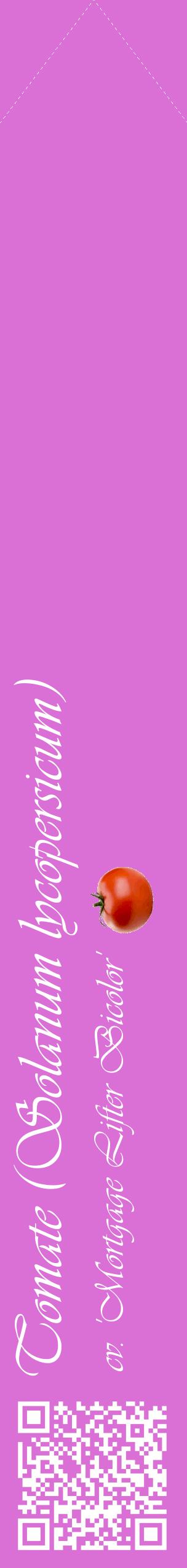 Étiquette de : Solanum lycopersicum cv. 'Mortgage Lifter Bicolor' - format c - style blanche52_simpleviv avec qrcode et comestibilité simplifiée