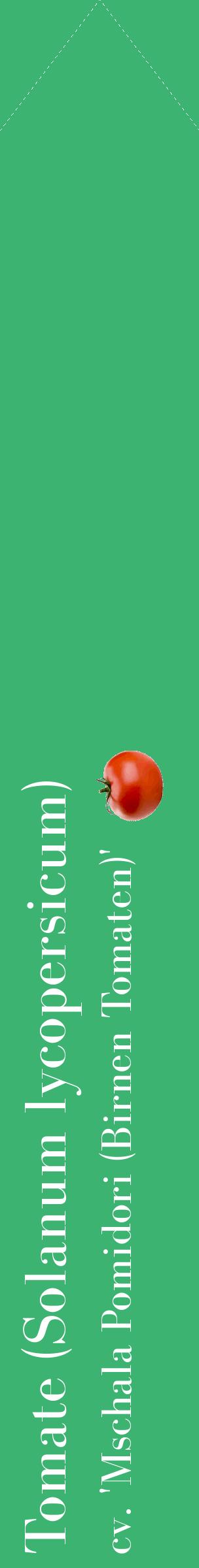 Étiquette de : Solanum lycopersicum cv. 'Mschala Pomidori (Birnen Tomaten)' - format c - style blanche12_simplebod avec comestibilité simplifiée